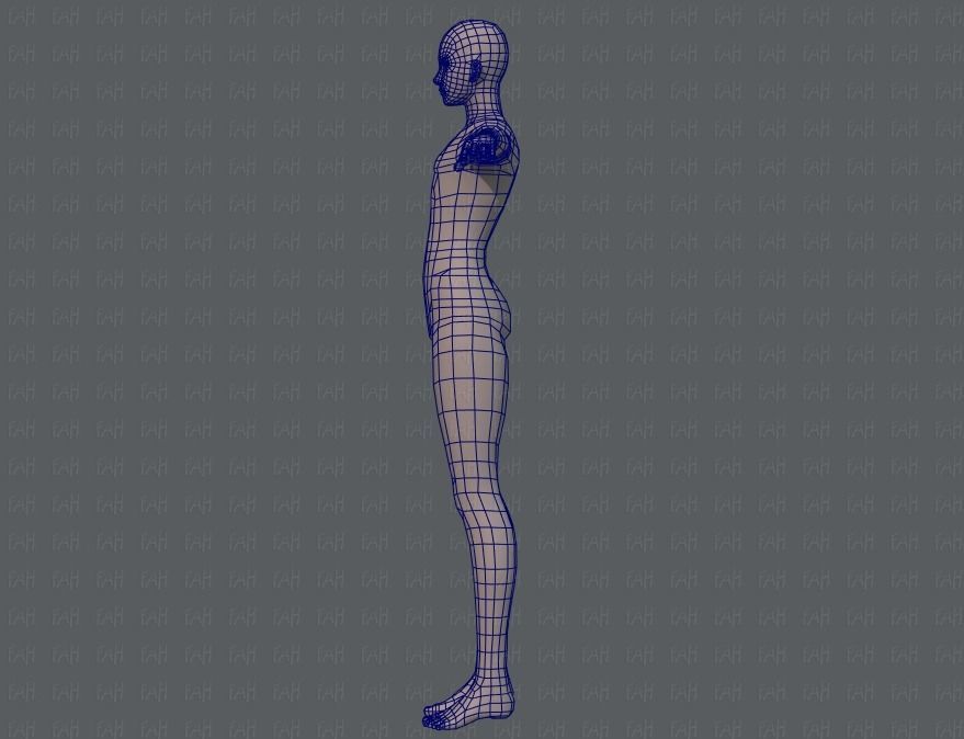 Base ManV04 and Base WomanV11 3D Model Collection_17