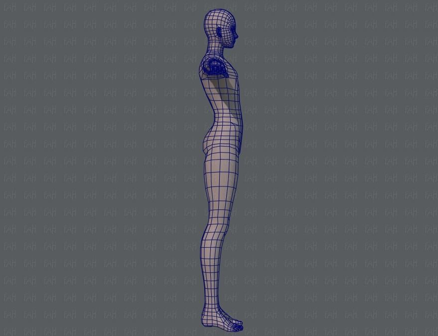 Base ManV04 and Base WomanV11 3D Model Collection_12
