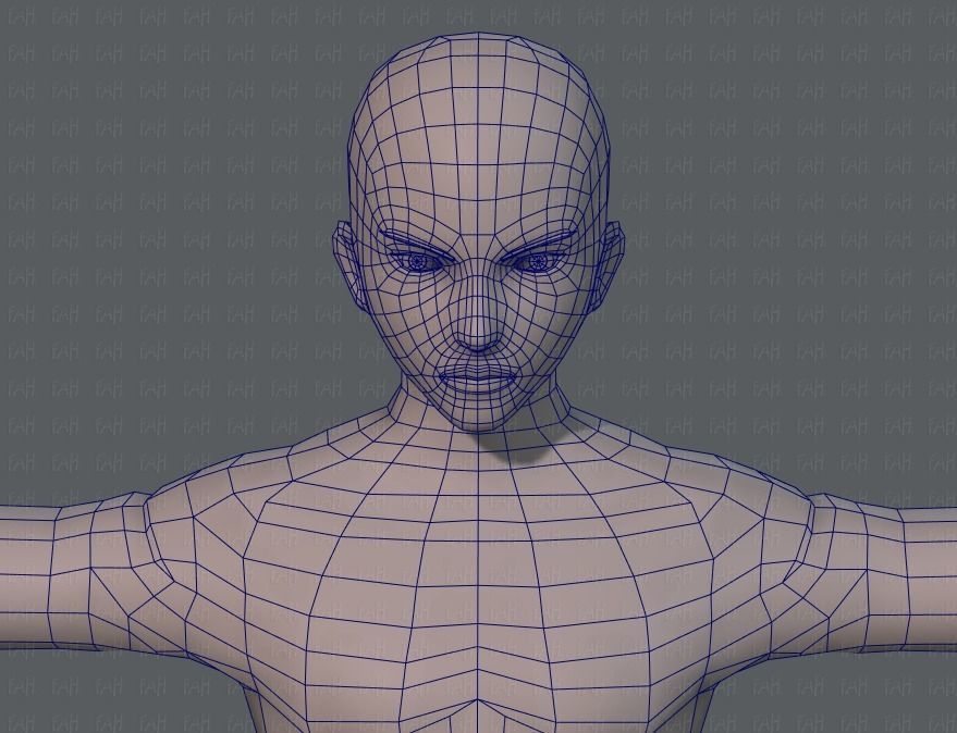 Base ManV04 and Base WomanV11 3D Model Collection_63