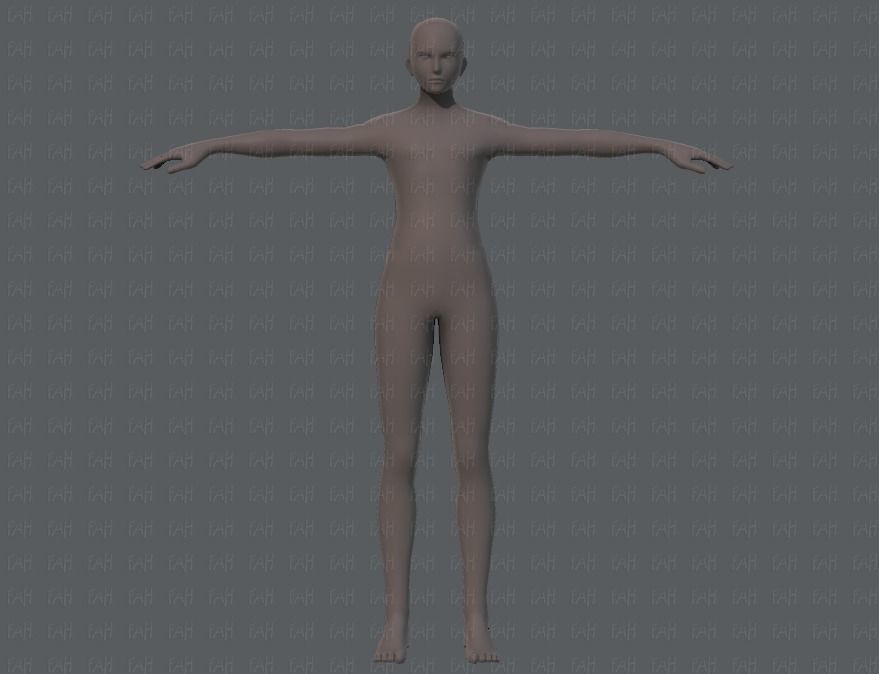 Base ManV04 and Base WomanV11 3D Model Collection_2