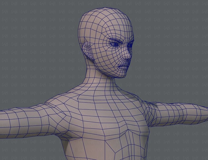 Base ManV04 and Base WomanV11 3D Model Collection_47