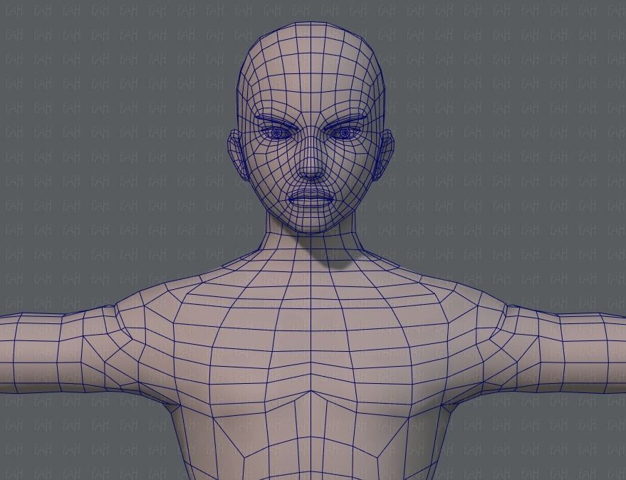 Base ManV04 and Base WomanV11 3D Model Collection_46