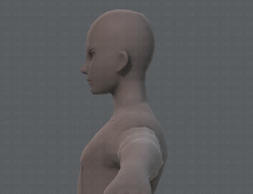 Base ManV04 and Base WomanV11 3D Model Collection_44