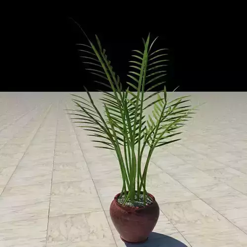 plant 2 palm tree in pot 3D model