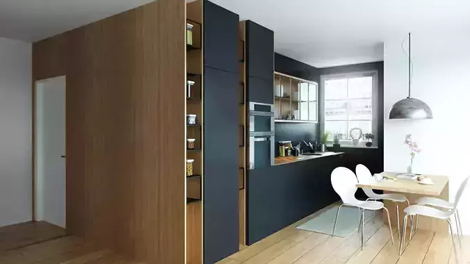 Living room and Kitchen Interior