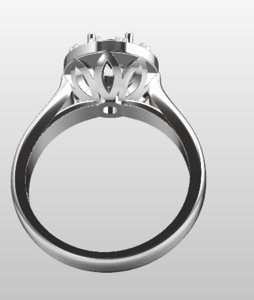 Ring bi 32 3D print model_18