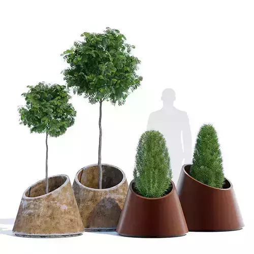 Eccentrica tree pots