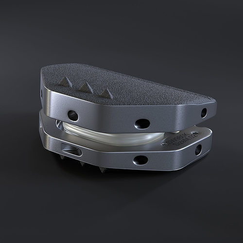 Artificial spinal disk 3D model