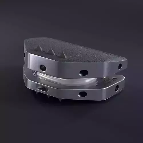 Artificial spinal disk 3D model