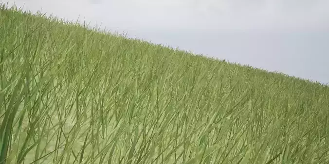 Low Poly Grass