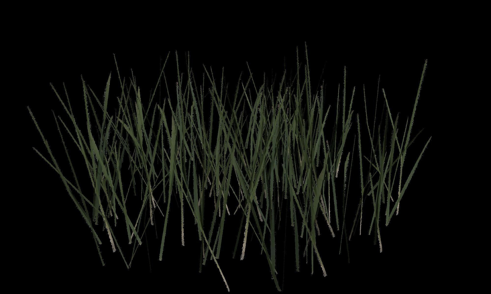 Low Poly Grass Low-poly 3D model_1