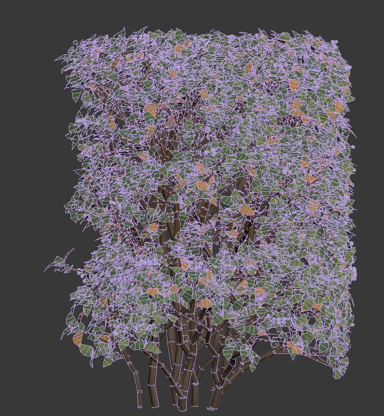 Cotoneaster lucidus 5 hedges collection 3D model_16