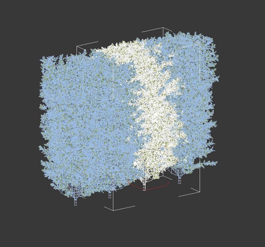 Ligustrum ovalifolium Nr1- modular hedge H110cm 3D model_5