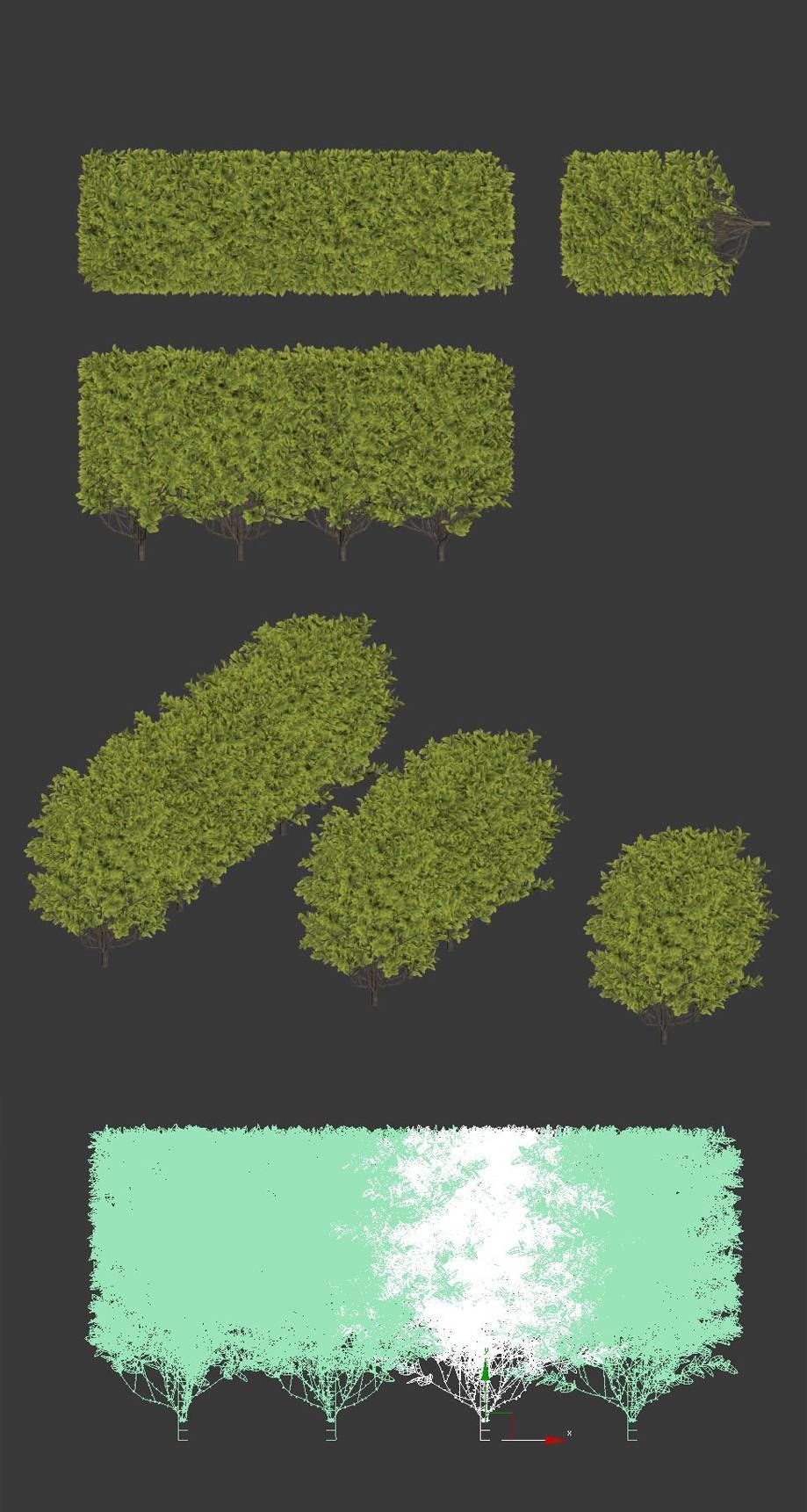 Ligustrum ovalifolium Nr2 - modular hedge H60cm 3D model_2