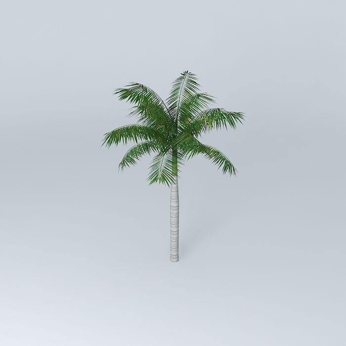 Tree Palm Free 3D model_2