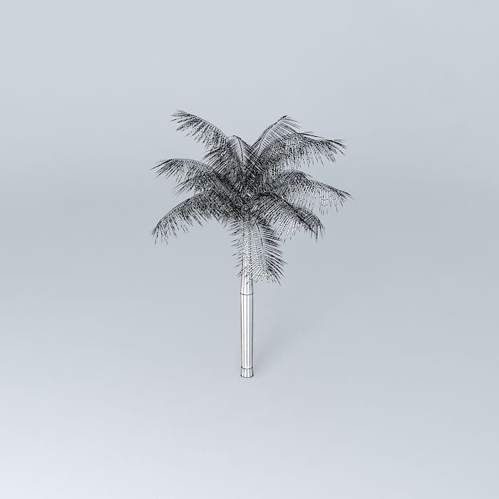Tree Palm Free 3D model_3