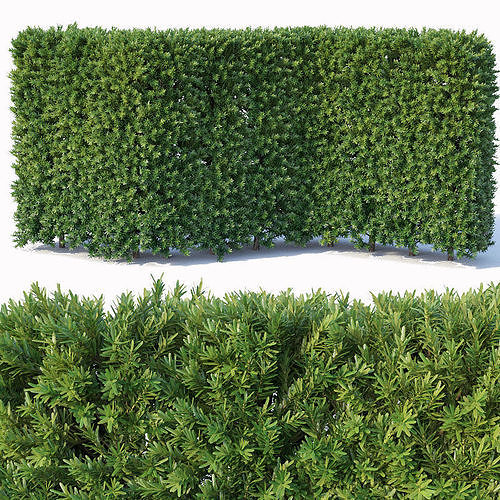 Taxus Baccata Nr3 - modular hedge H120cm 3D model