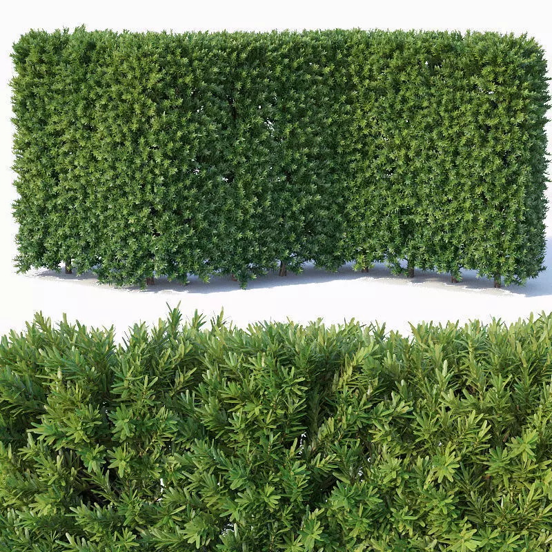 Taxus Baccata Nr3 - modular hedge H120cm 3D model_0