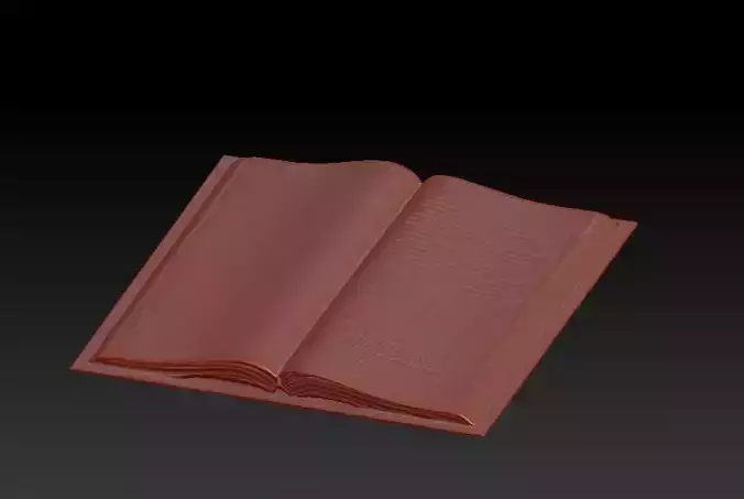 open book 3D model