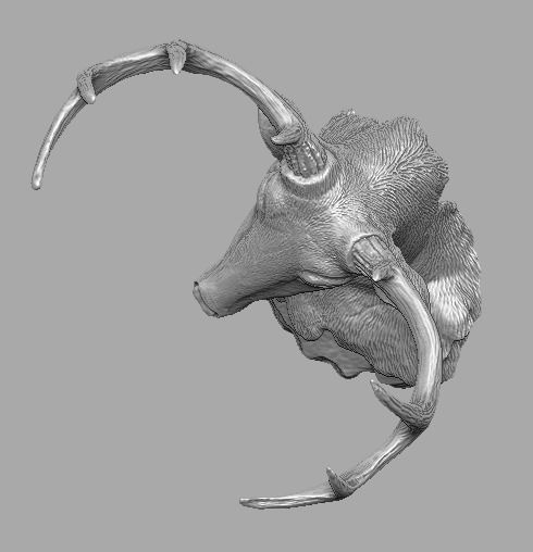 deer head skulpture 3D print model_25