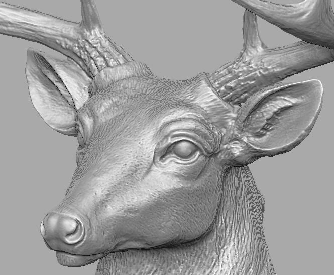 deer head skulpture 3D print model_23