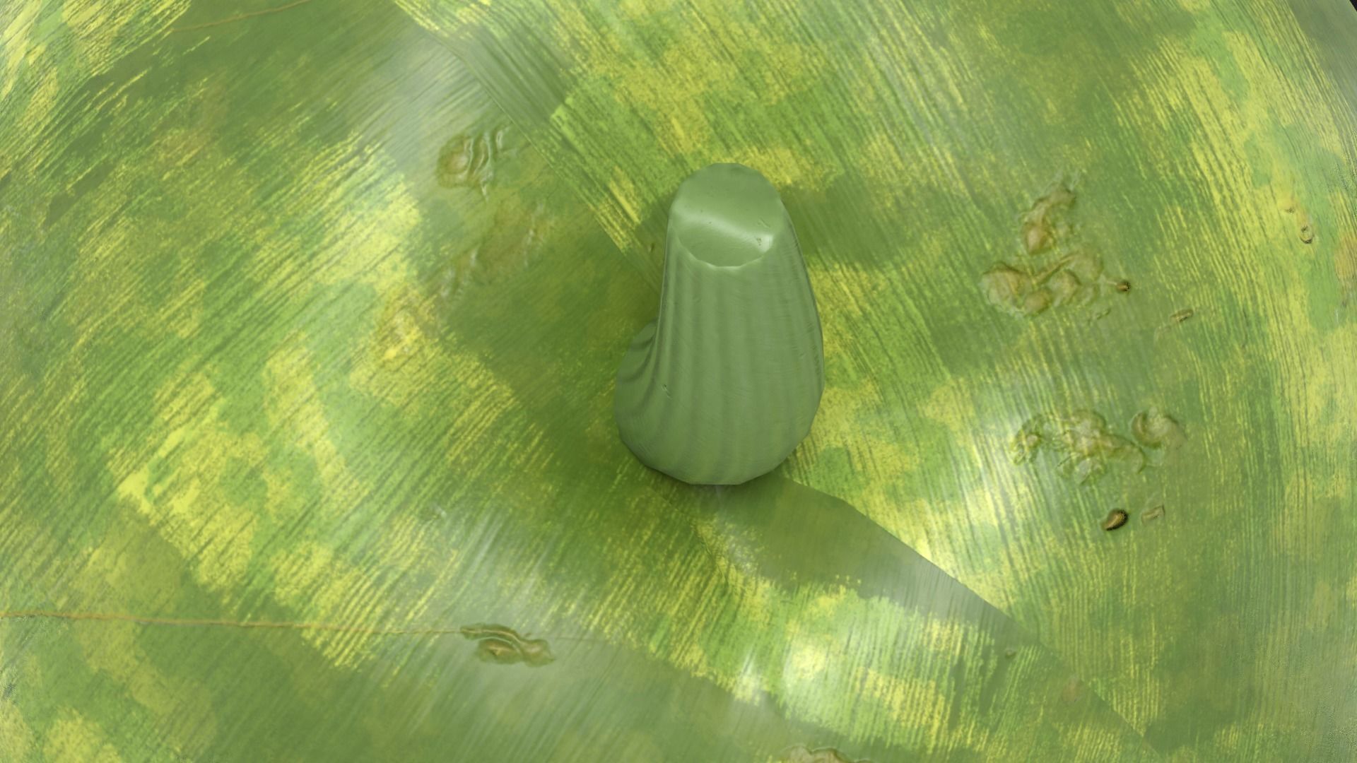 Watermelon Low-poly 3D model_6