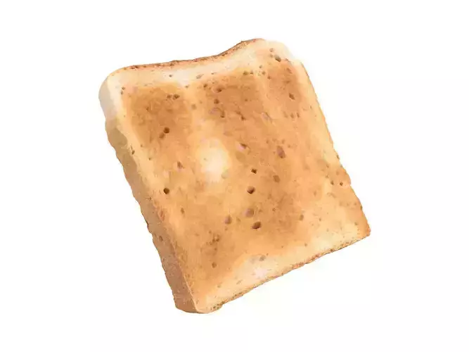 Photorealistic Toast 3D Scan 3D model