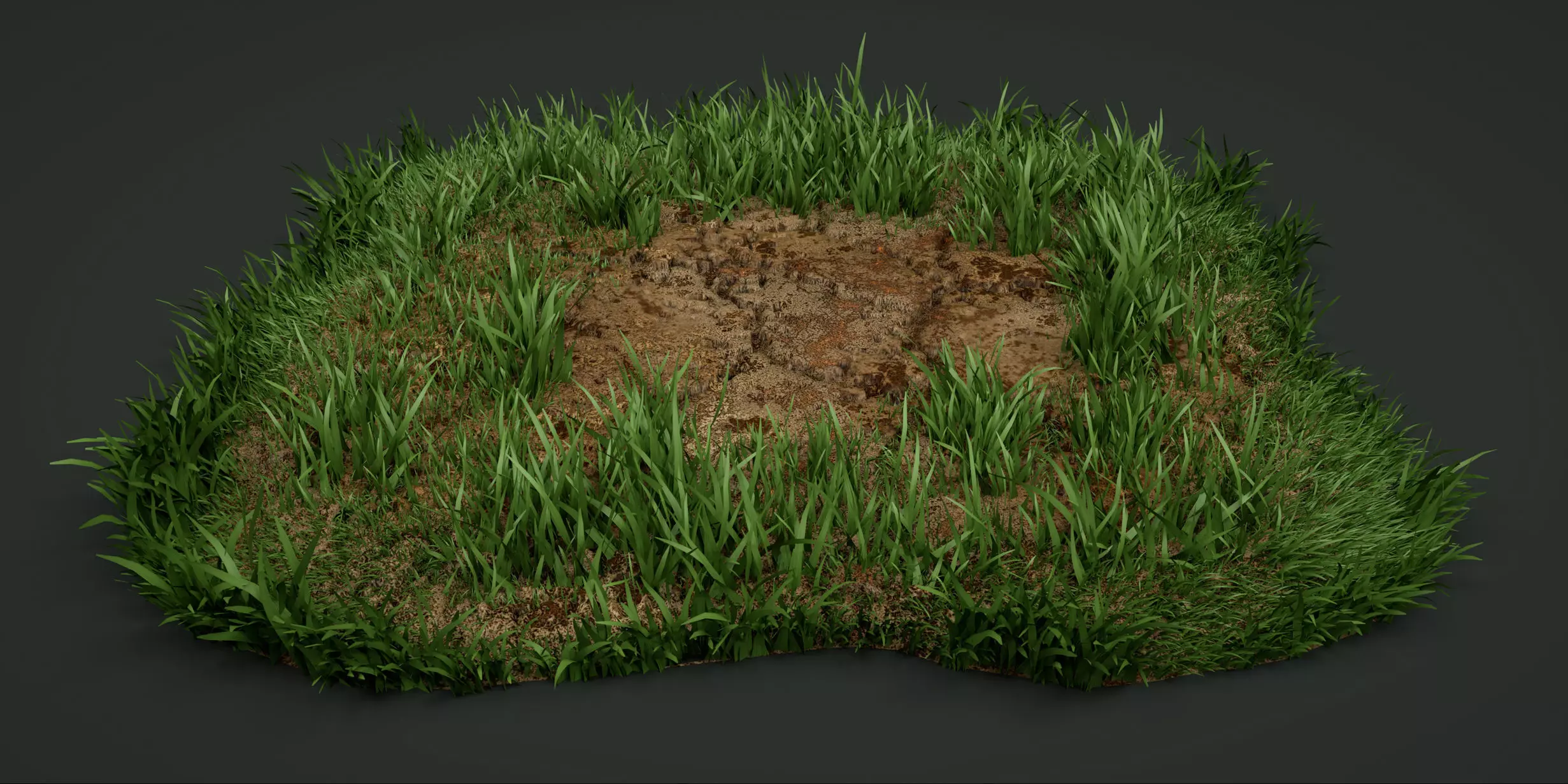 A detailed model of the grass Texture_0