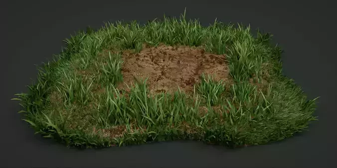 A detailed model of the grass
