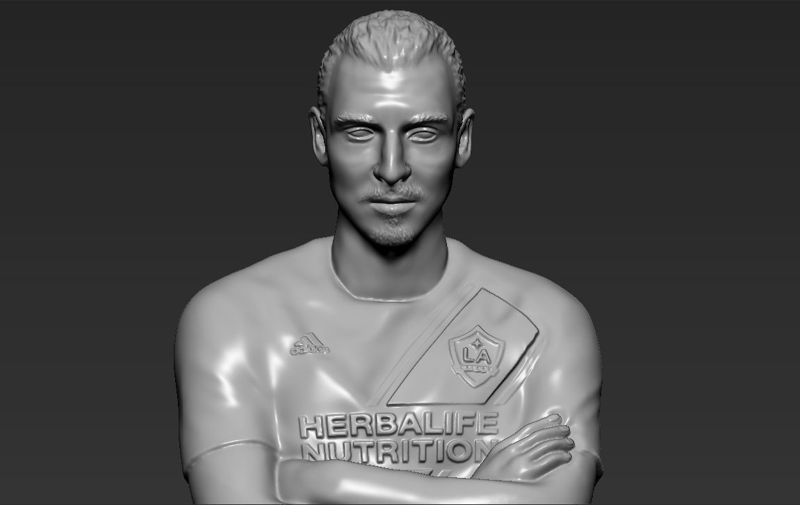 Famous Football figurines and busts for 3D printing 3D Model Collection_61