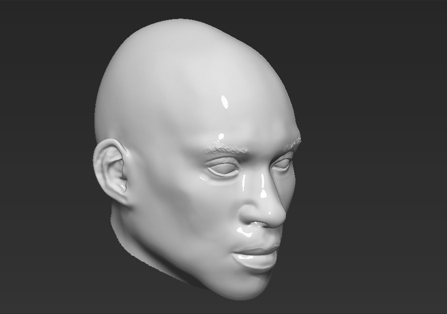 NBA Players heads 3D Model Collection_29