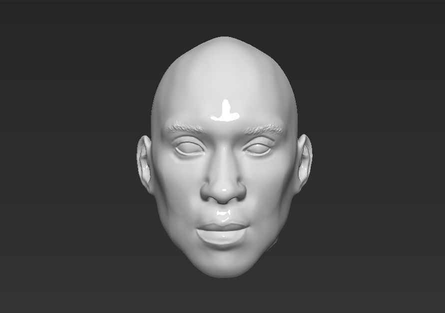 NBA Players heads 3D Model Collection_31
