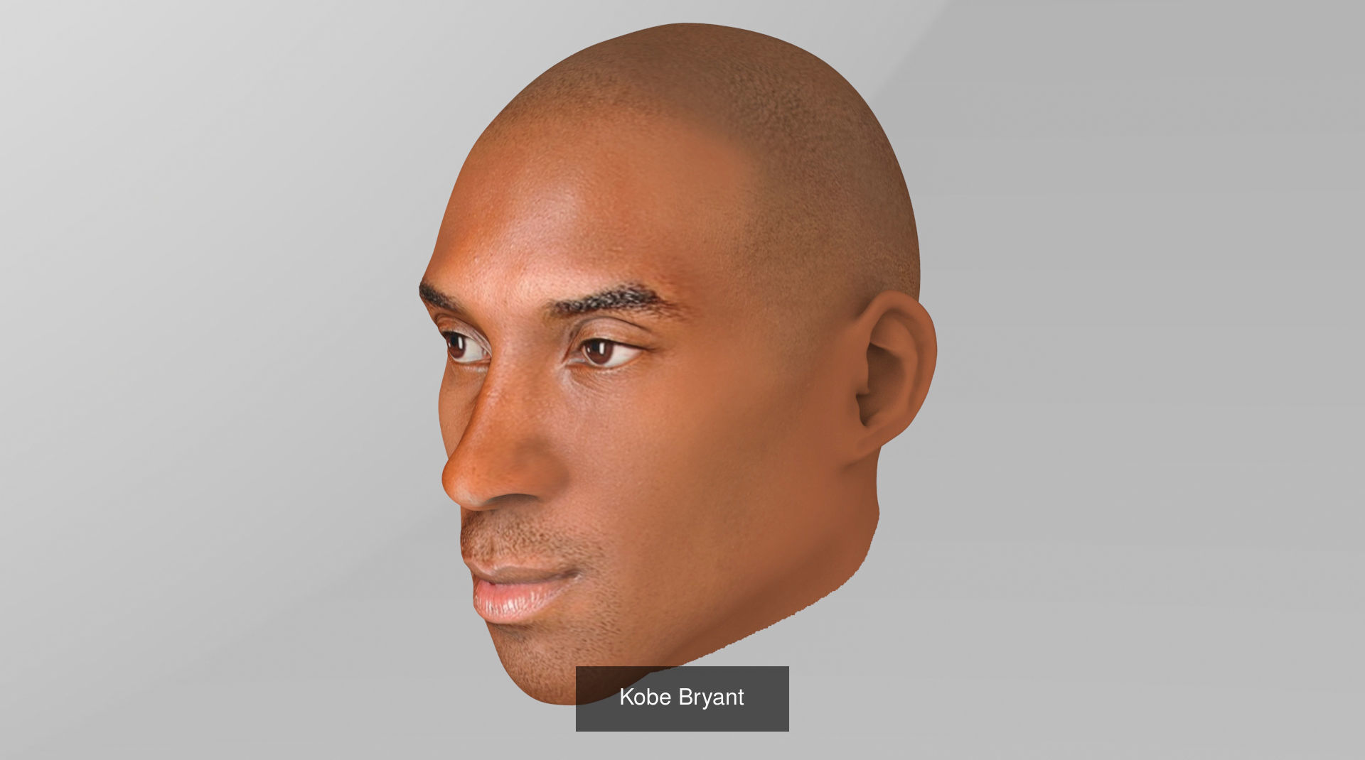 NBA Players heads 3D Model Collection_5