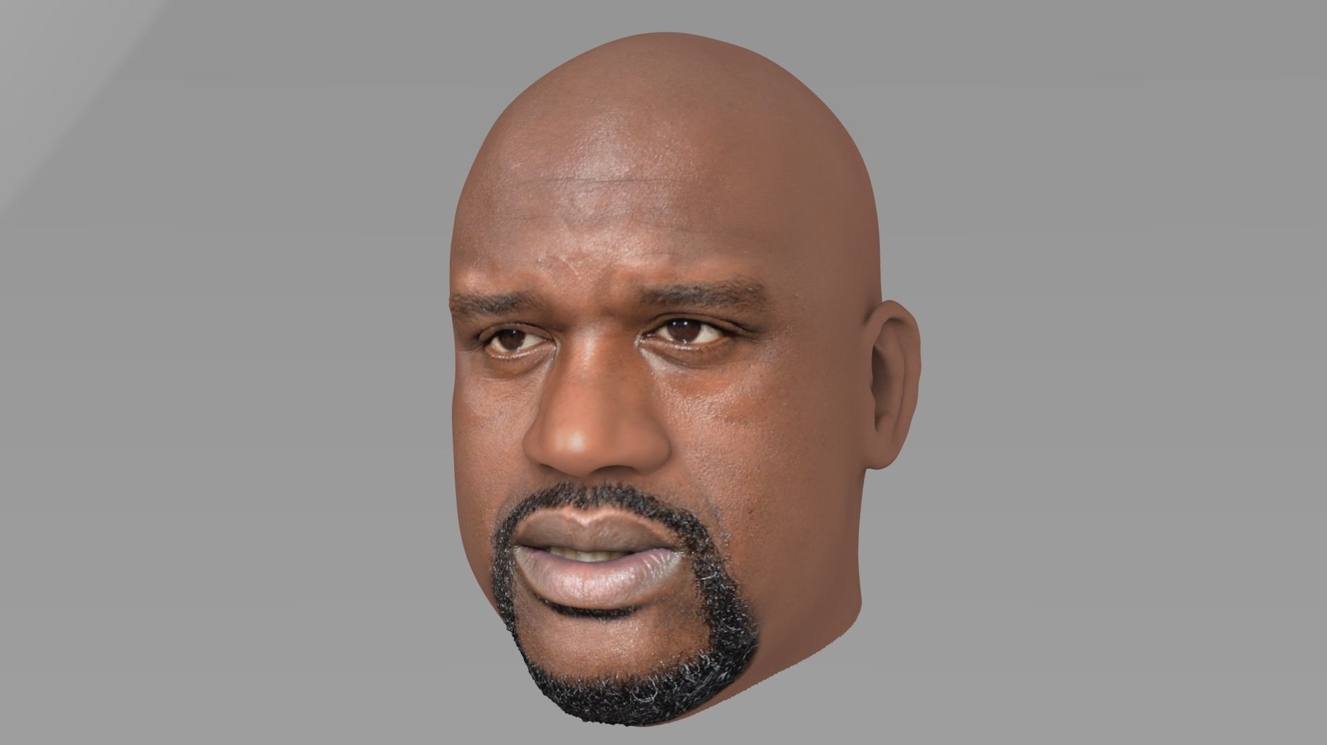 NBA Players heads 3D Model Collection_50