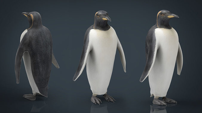 Penguin Low-poly 3D model