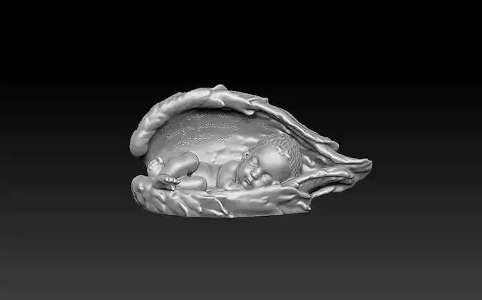 Sleeping baby in the shell 