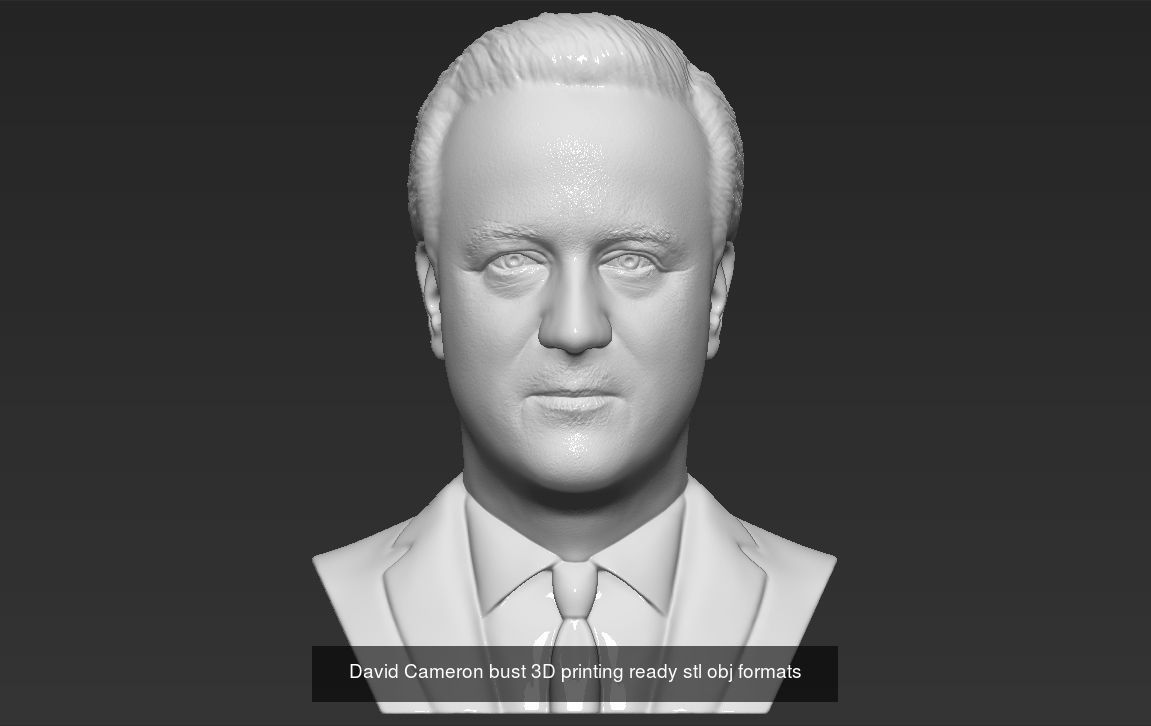 Famous Politicians busts 3D printing ready 3D Model Collection_35