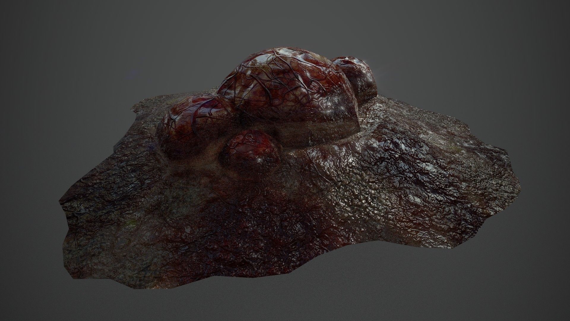 Ultimate Gore - PBR MeatThings Low-poly 3D model_37