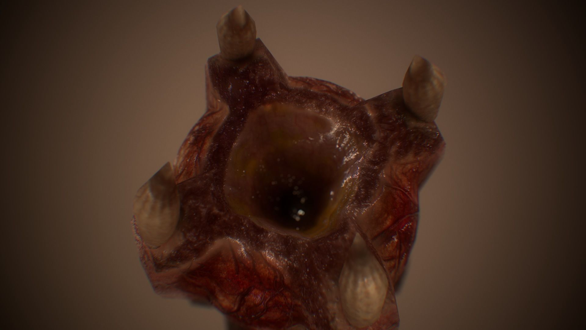 Ultimate Gore - PBR MeatThings Low-poly 3D model_19