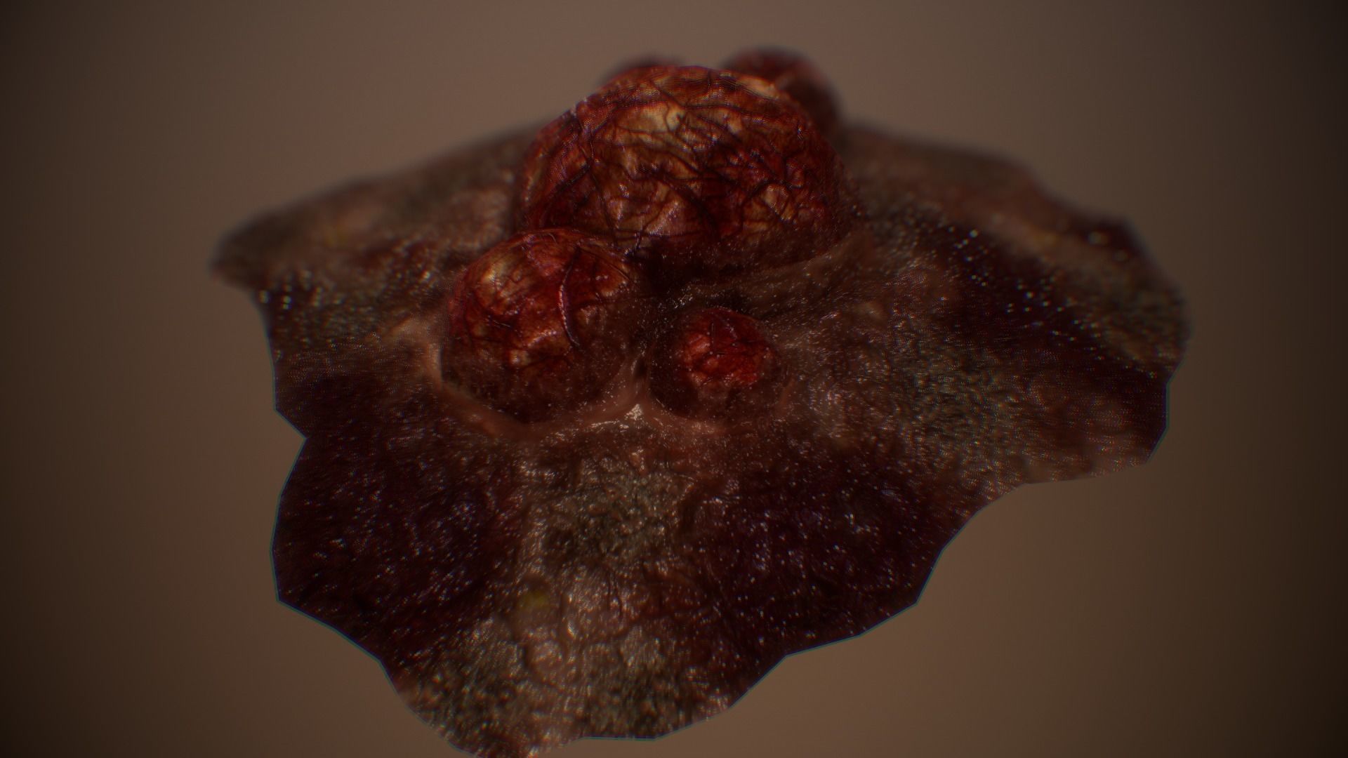 Ultimate Gore - PBR MeatThings Low-poly 3D model_22