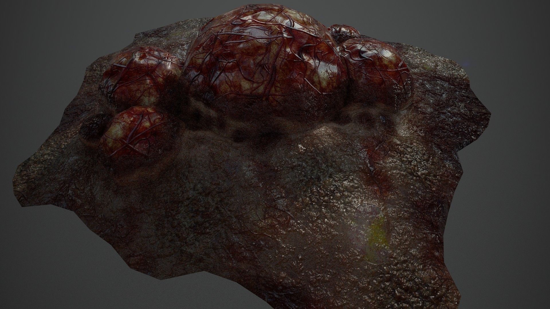 Ultimate Gore - PBR MeatThings Low-poly 3D model_40