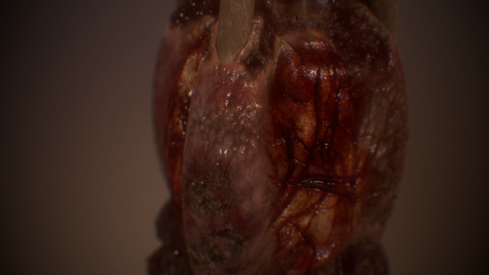 Ultimate Gore - PBR MeatThings Low-poly 3D model_18