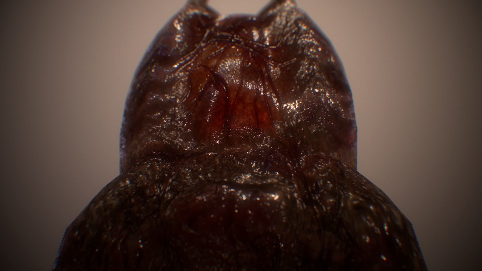 Ultimate Gore - PBR MeatThings Low-poly 3D model_17