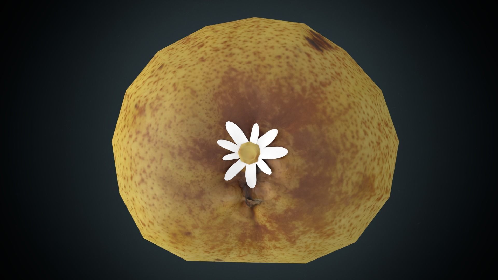 pear low poly Low-poly 3D model_8