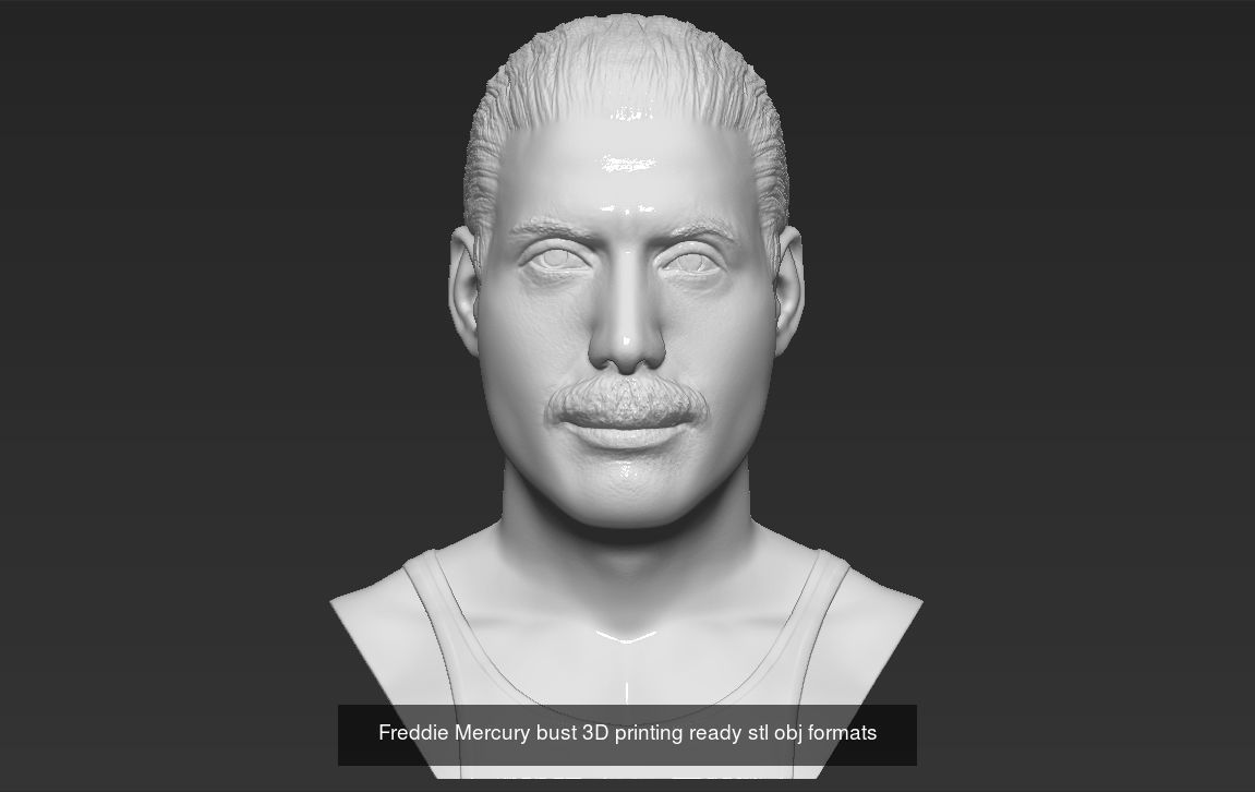 Famous Singers busts and figurines for 3D printing 3D Model Collection_36