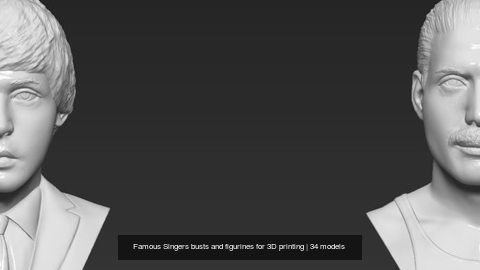 Famous Singers busts and figurines for 3D printing 3D Model Collection_6