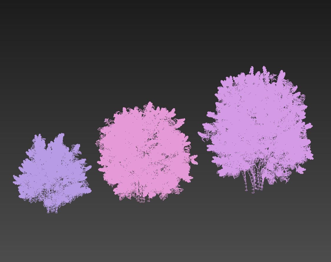 Lilac Syringa vulgaris Nr5 - Three sizes 3D model_7