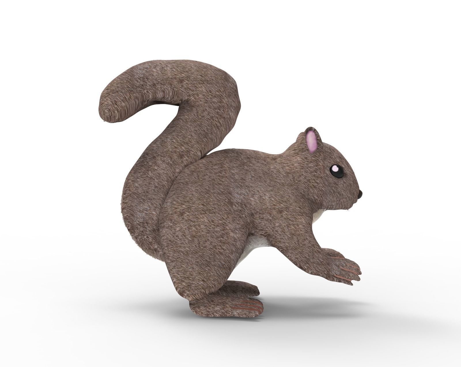 Squirrel 3D model_1