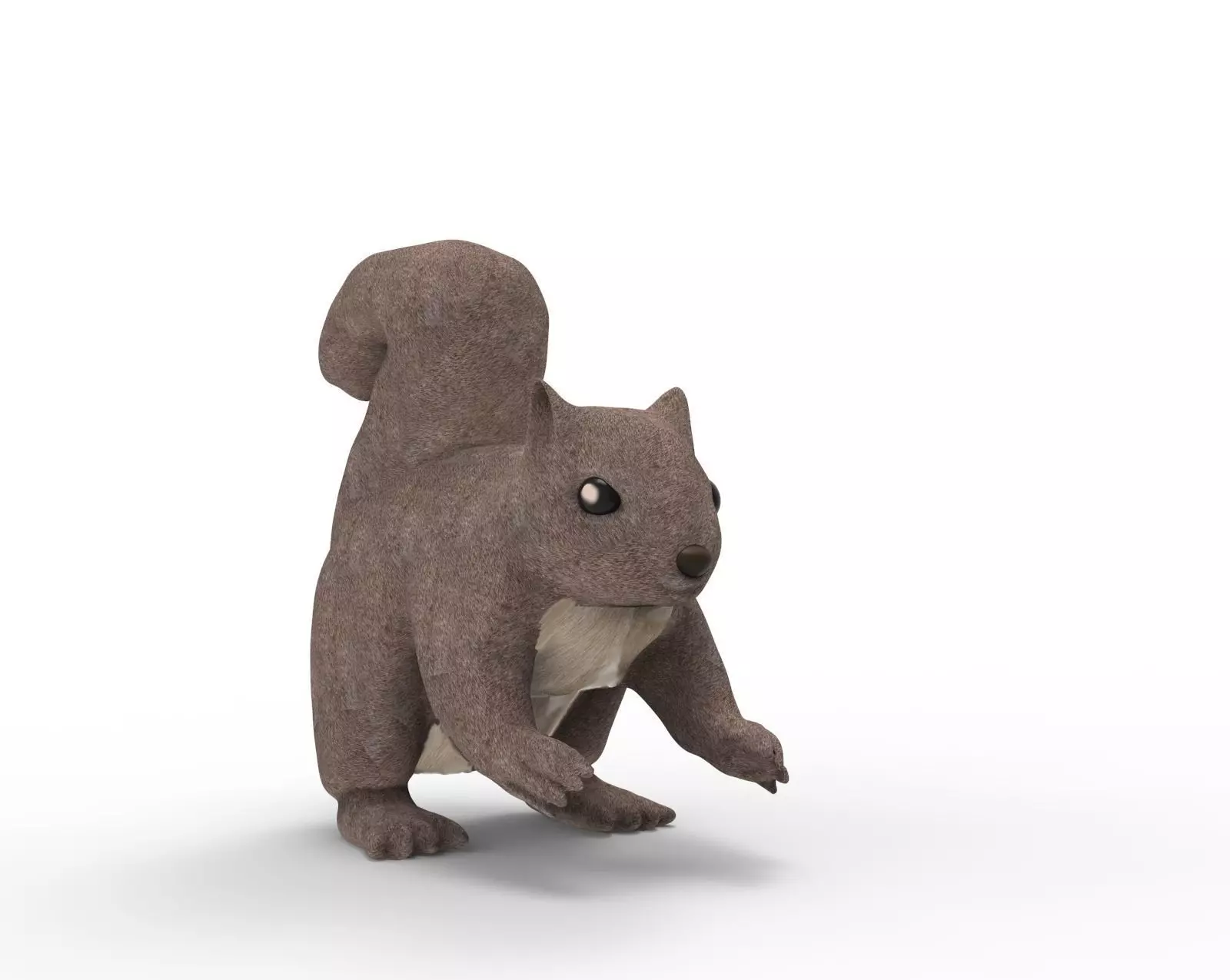 Squirrel 3D model_0
