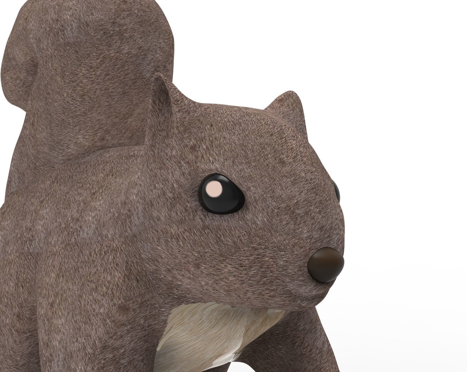 Squirrel 3D model_3